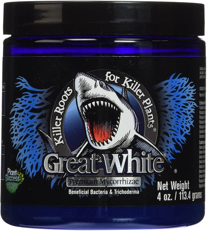 Great White Shark Mycorrhizae