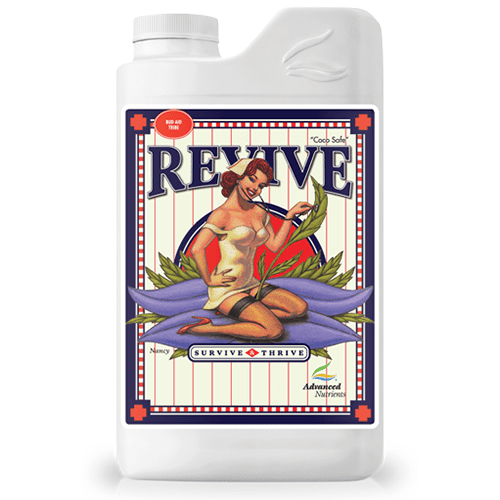 Revive